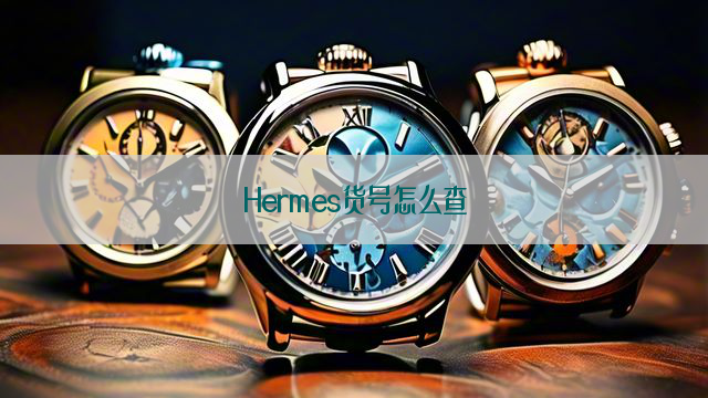 Hermes货号怎么查